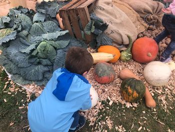 High angle view of man and pumpkins