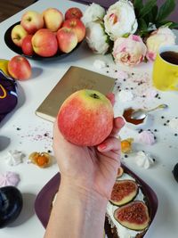 High angle view of person holding apple on table