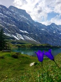 Scenic view of lake and mountains against sky