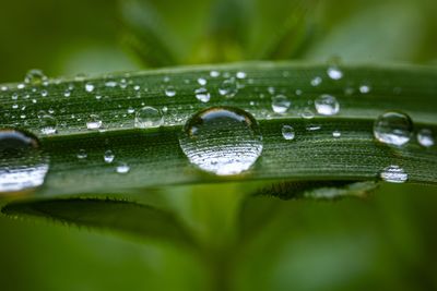 water