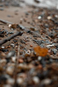 Close-up of stones on sand