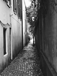 Narrow alley amidst buildings in city