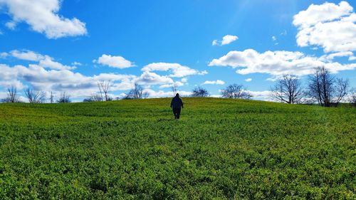 Rear view of person walking on grassy field against sky