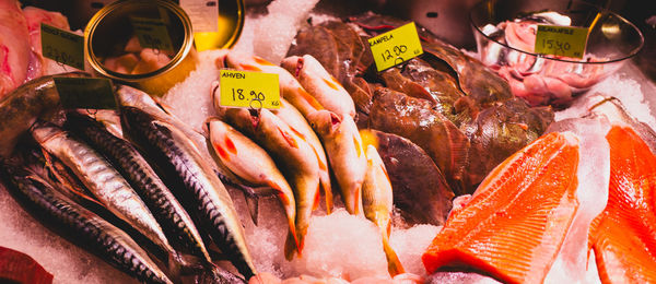 High angle view of seafood on table