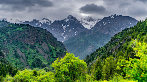 mountain