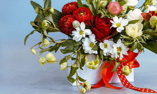 Close-up of red flowering plant