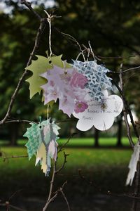 Close-up of spider web on tree