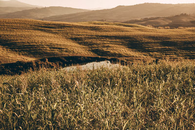 Scenic view of field against mountains