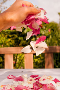 Cropped image of woman holding flower