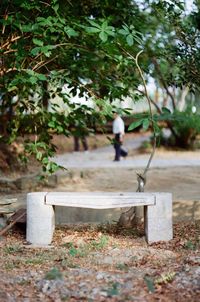 Close-up of man standing by tree