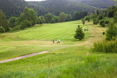 Scenic view of golf course