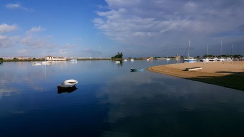 Sailboats moored in harbor against sky