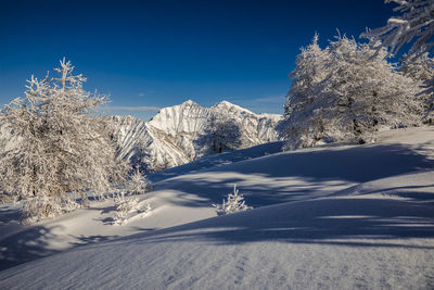 Snow covered landscape against blue sky