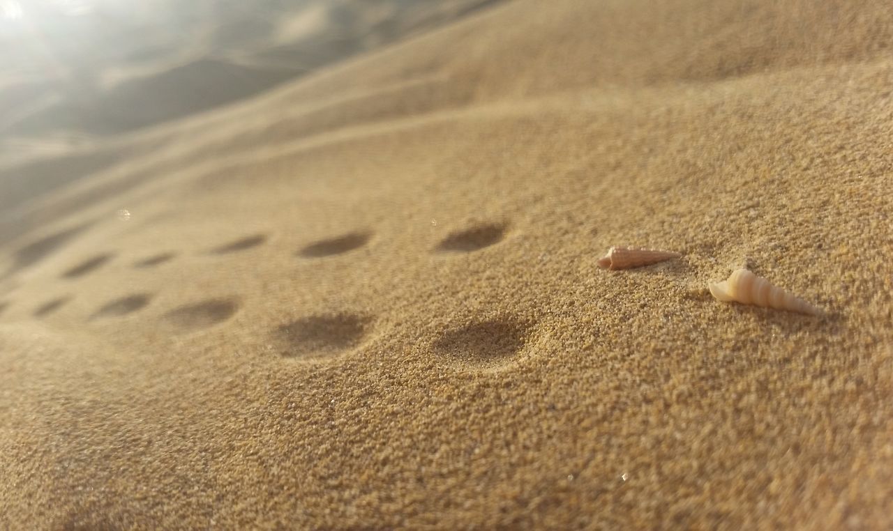 CLOSE-UP OF SAND DUNE