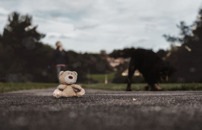 View of stuffed toy on road against sky
