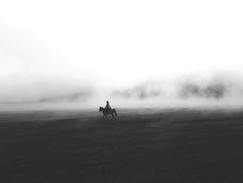 Man riding horse on field against sky