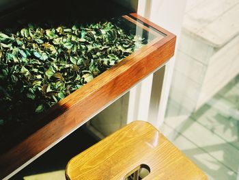 High angle view of potted plant on table