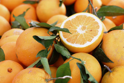 Close-up of fruits for sale in market