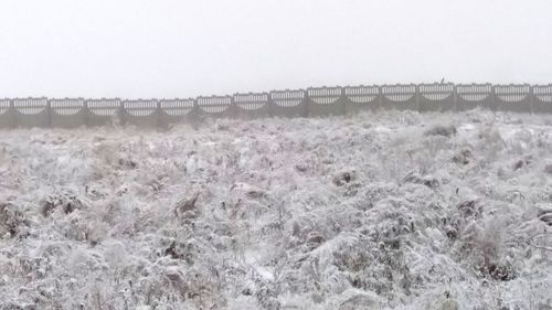 Snow covered land and sea against clear sky