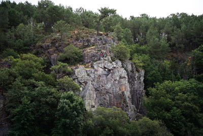 Rock formations in forest