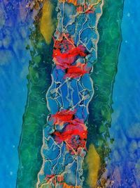 High angle view of multi colored floating on water
