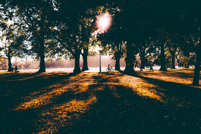 Silhouette trees on field in park during autumn