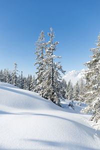 Austrian countryside with a lot of fresh snow