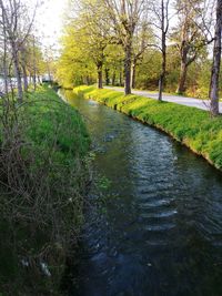 River amidst trees in park