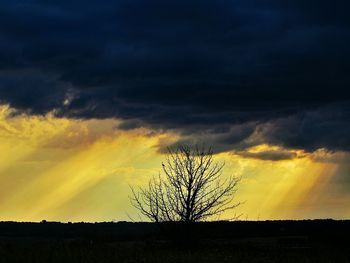 Silhouette bare tree on field against dramatic sky
