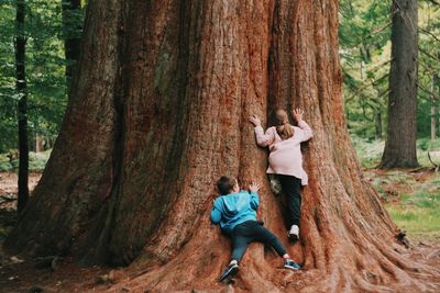 Full length of a boy and girl standing by tree trunk in forest