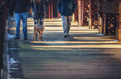 Low section of people walking their dog in across a bridge in the city