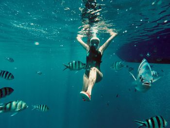 Woman scuba diving in sea