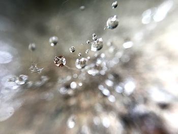 Close-up of water drops on spider web