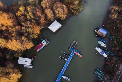 High angle view of trees by lake