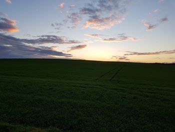 Scenic view of field against sky during sunset