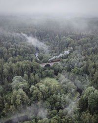 High angle view of steam engine passing the brick bridge in forest