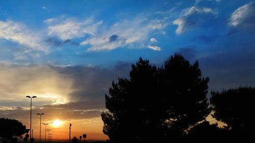 Low angle view of silhouette trees against sky during sunset