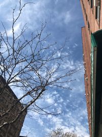 Low angle view of bare tree and buildings against sky