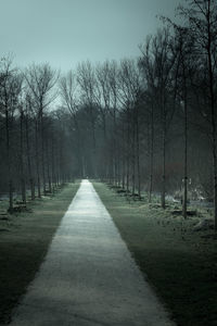 Road passing through bare trees