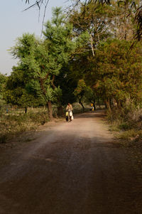 Rear view of people walking on road amidst trees