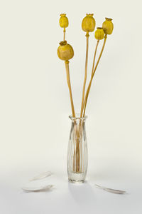 Close-up of glass vase on table against white background