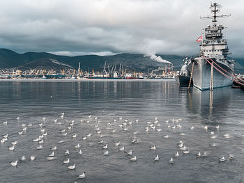 View of seagulls on sea against cloudy sky