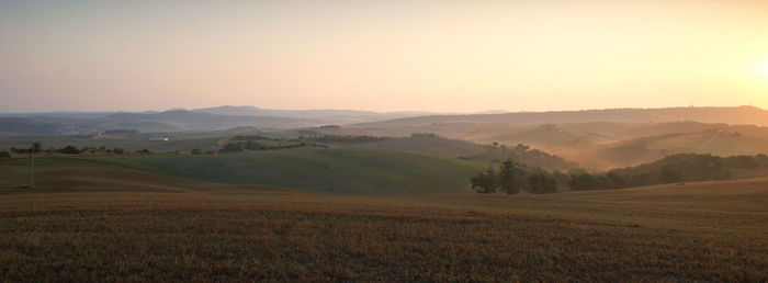 Scenic view of agricultural field against sky during sunset