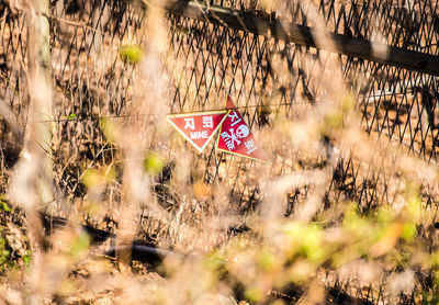 Road sign by trees on field