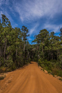 Dirt road amidst trees against sky