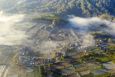 High angle view of agricultural field