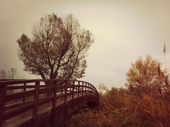 Tree by bridge against sky