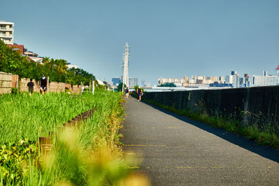 Footpath amidst plants and city against clear sky