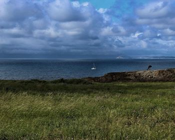 Scenic view of sea against sky