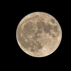 Low angle view of moon against clear sky at night